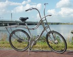 fiets-limousine2010.jpg